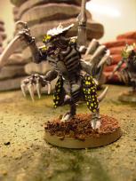 A close combat warrior. The claws are really a bit too big for him.