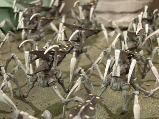 Bugs
